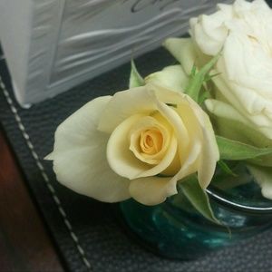 Meet your Posher, Kiki